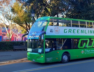 Green Line Tours: Experience the Magic of Christmas in Rome by Bus